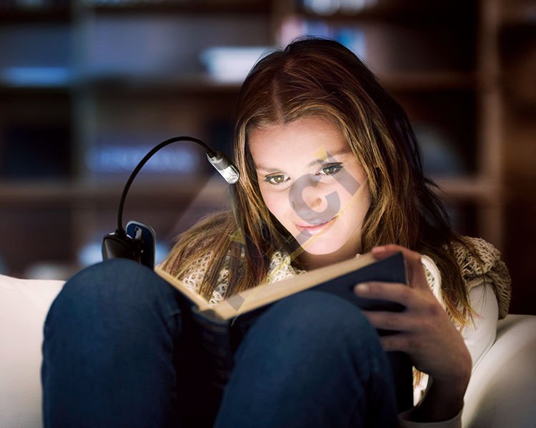 Varta 16618  Book Light